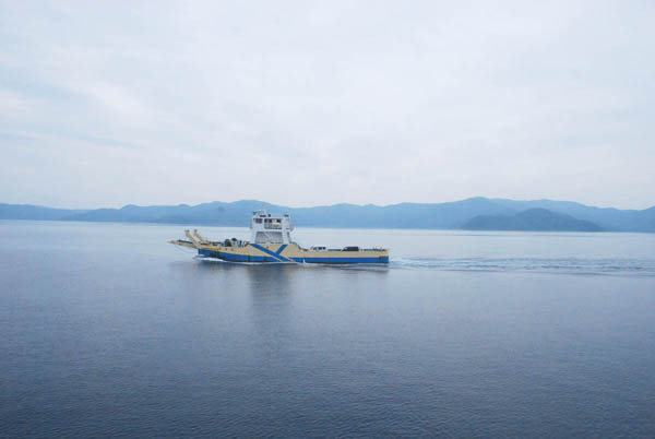 加計呂麻島 フェリー&路線バスの旅 大島海峡
